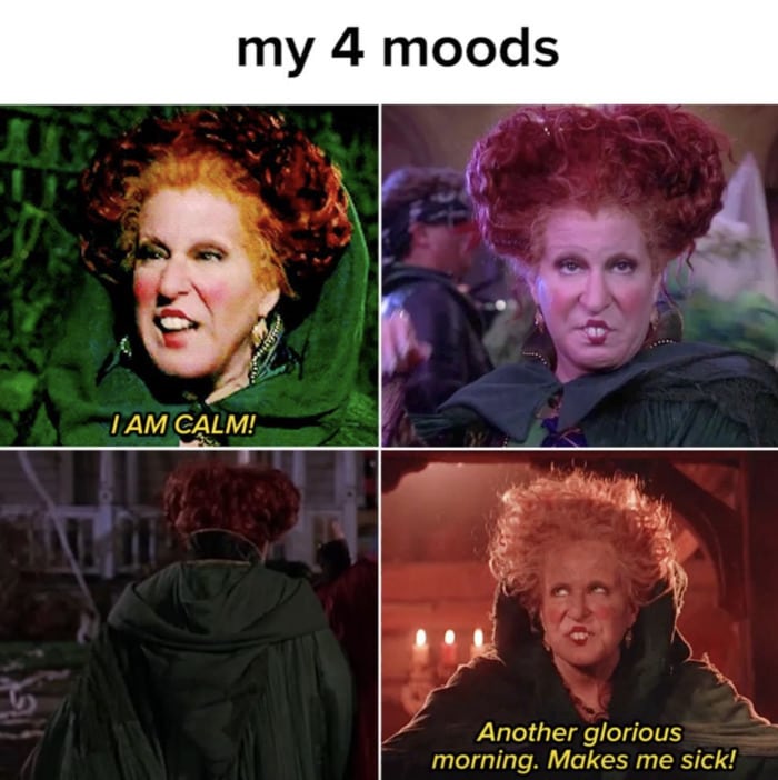 Hocus Pocus Memes - 4 moods