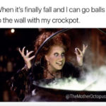 Hocus Pocus Memes - crockpot