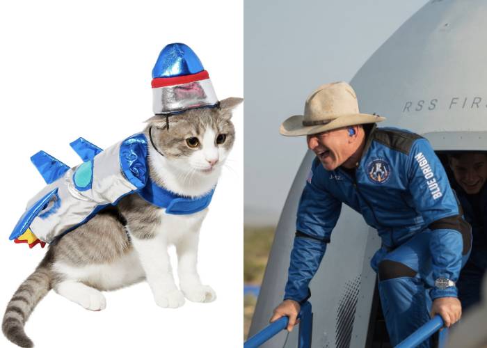 Cat Halloween Costumes - Jeff Bezos and rocketship