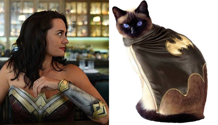 Cat Halloween Costumes - Justice League