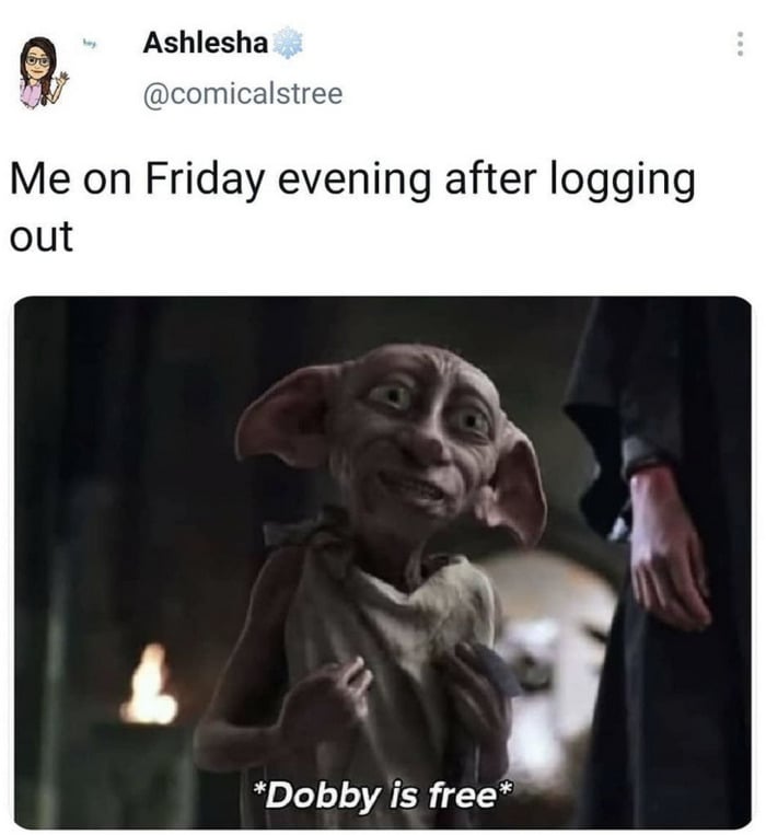 Friday Meme - Dobby Free