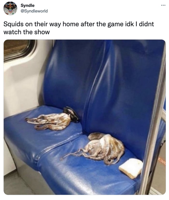 Squid Game Memes - squids on plane