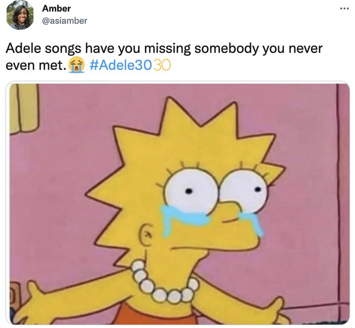 Adele 30 Memes and Tweets Reactions - lisa simpson