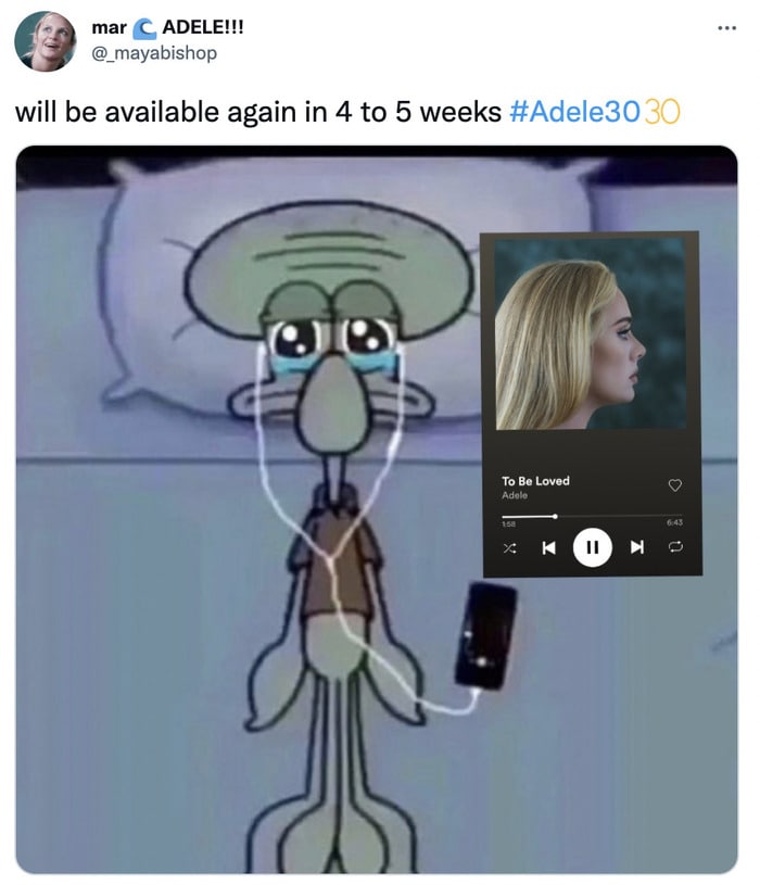 Adele 30 Memes and Tweets Reactions - squidward crying
