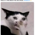 Adele 30 Memes and Tweets Reactions - cat crying