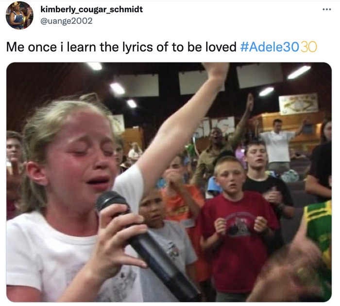 Adele 30 Memes and Tweets Reactions - to be loved lyrics