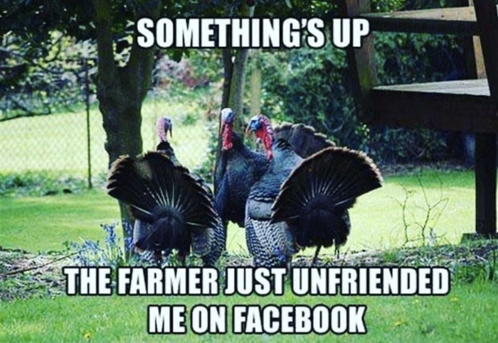 Thanksgiving Memes - Farmer Bob