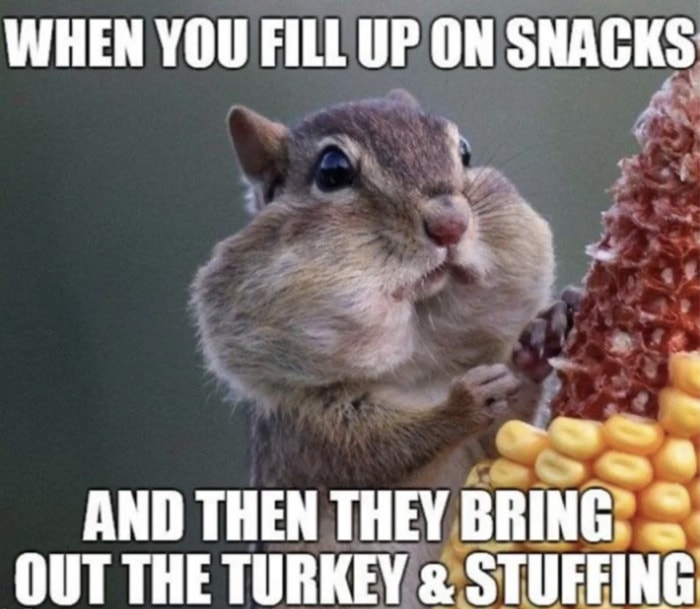 Thanksgiving Memes - snacks