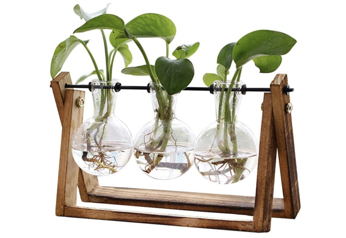 Best Gifts for Her on Amazon - Plant Terrarium