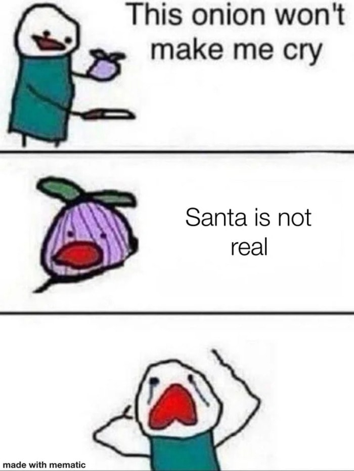 Christmas Memes - onion santas not real