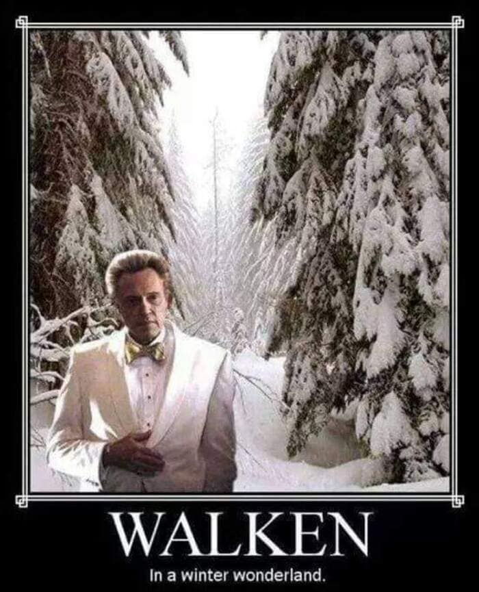 Christmas Memes - walken in a winter wonderland