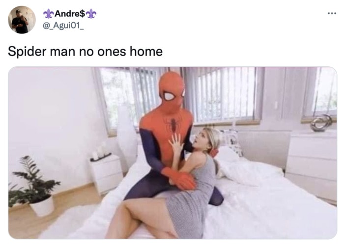 Spiderman Memes No Way Home - no ones home