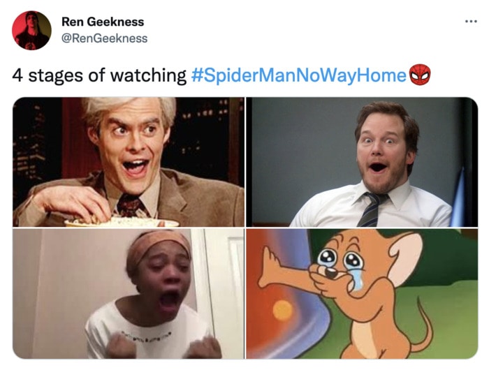Spiderman Memes No Way Home - four stages crying