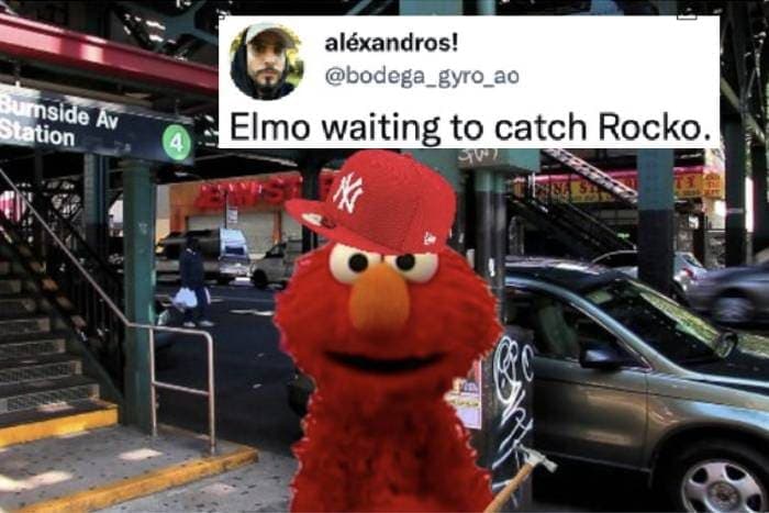 Elmo Rocco Memes