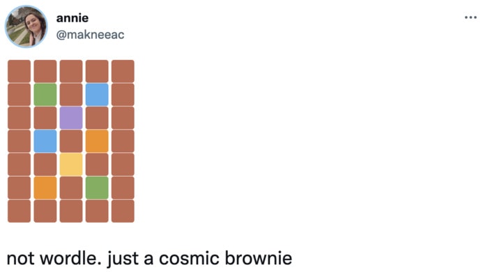 Not Wordle Memes - brownie