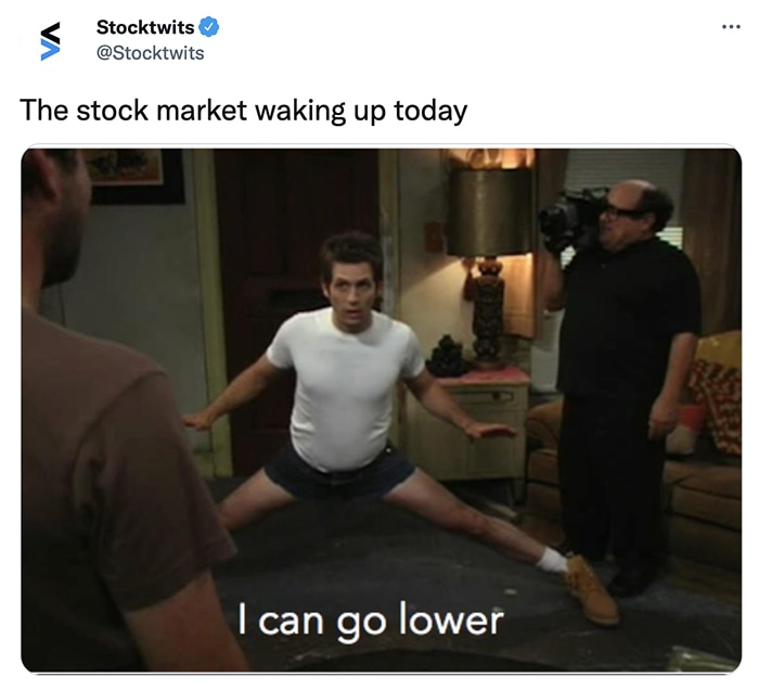 Stock Market Memes - lower sunny