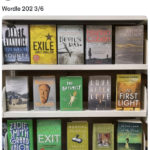Wordle Memes - bookshelf