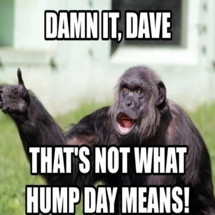 Hump Day Memes - Not what hump day means