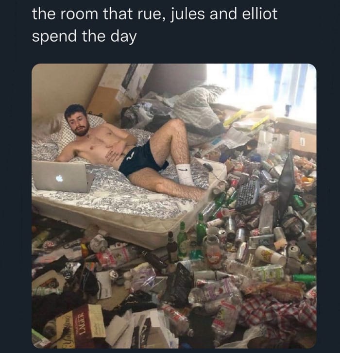Euphoria Memes - dirty room