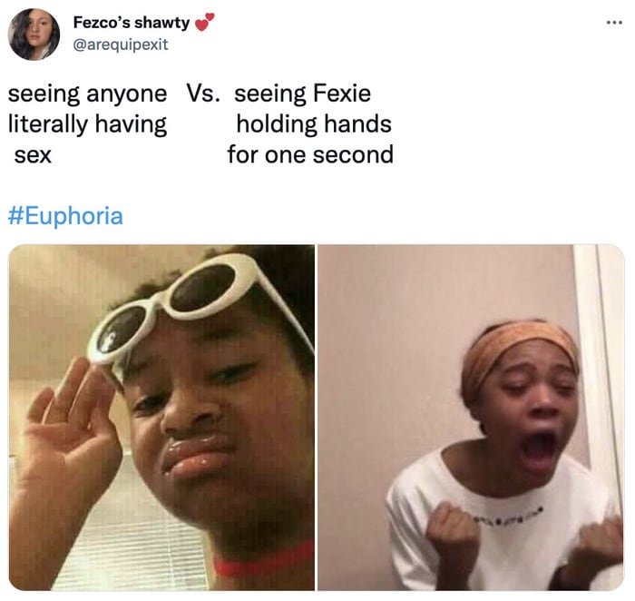 Euphoria Memes - sex vs holding hands