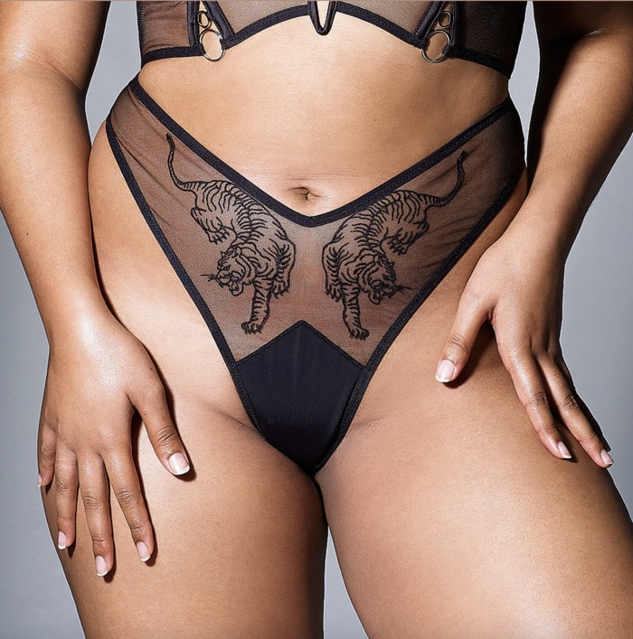 French Cut Lingerie - Thistle and Spire Tigress Thong