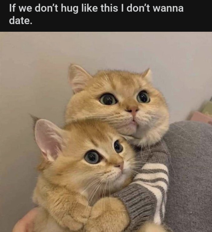 Love Memes - if we don't hug like this I don't want it