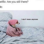Relatable Memes - Netflix are you still there?