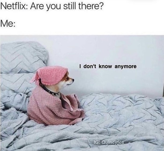 Relatable Memes - Netflix are you still there?