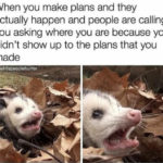 Relatable Memes - making plans