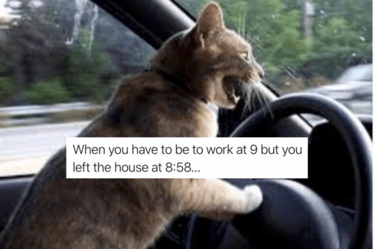 These Relatable Memes Will Make You Say “That’s So Me”