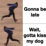 Cute Memes - gotta kiss my dog late to work