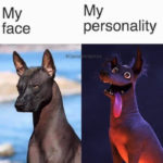 Cute Memes - my face vs. my personality