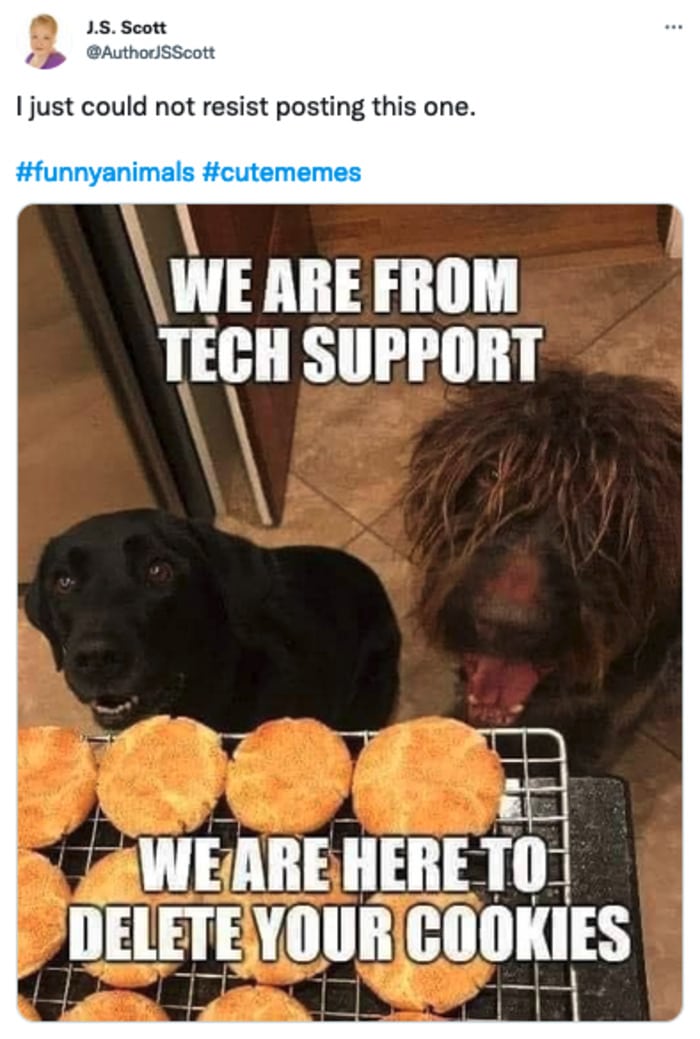 Cute Memes - Tech Support delete your cookies