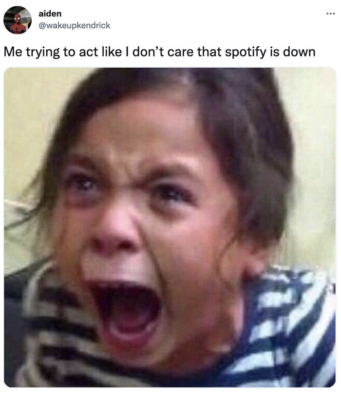 Spotify Memes Tweets - yelling girl