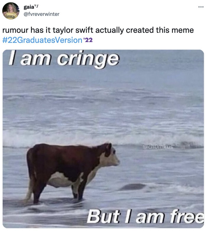 Taylor Swift Memes - i am cringe cow