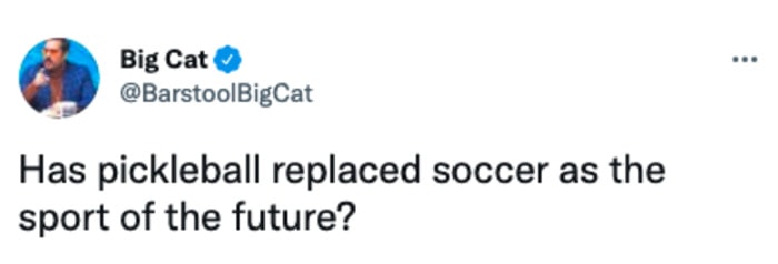 What is Pickleball - tweet future of sport