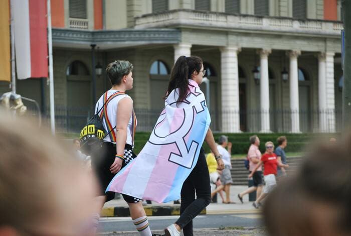 Gender Pronouns - trans flag