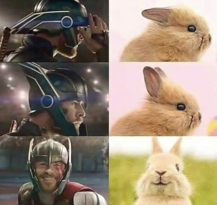 Marvel Memes - Thor Bunny