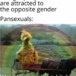 Pride Memes - pansexuals