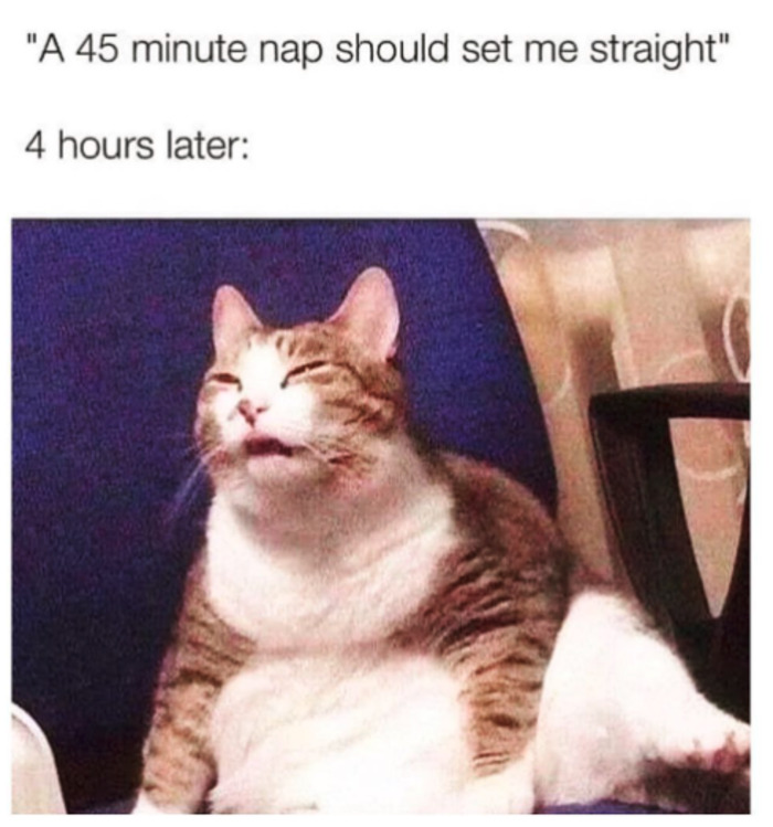 Work Memes - 45 minute nap