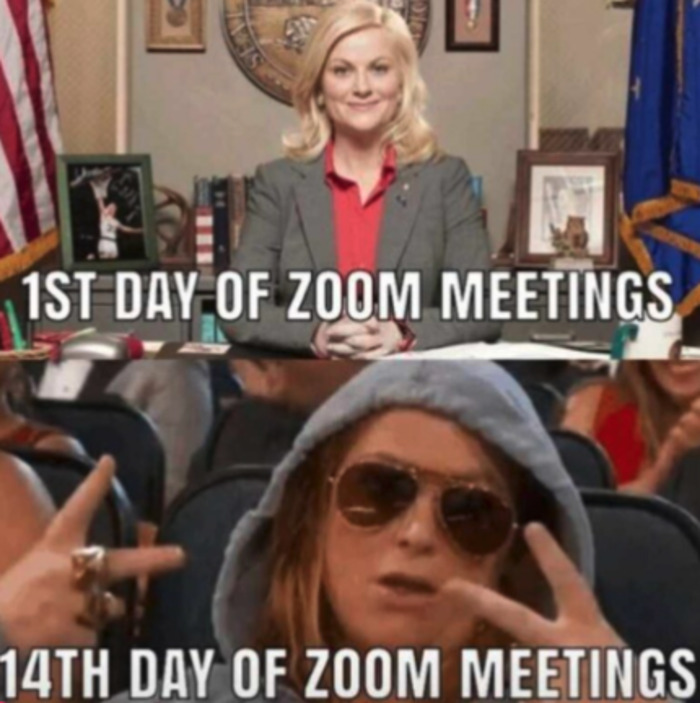 Work Memes - Zoom meetings