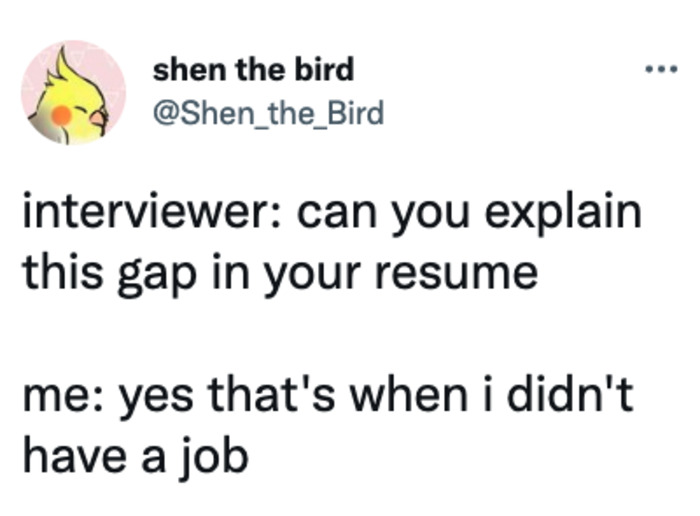 Work Memes - gap in resume