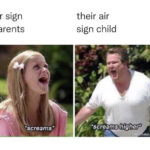 Astrology Memes - air signs