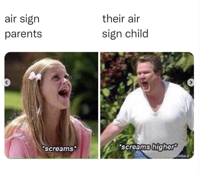 Astrology Memes - air signs