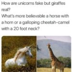 Clean Memes - unicorn and giraffe