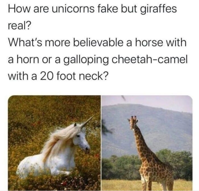 Clean Memes - unicorn and giraffe