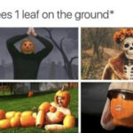 Fall Memes - first leaf on the ground
