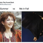 Fall Memes - summer vs fall