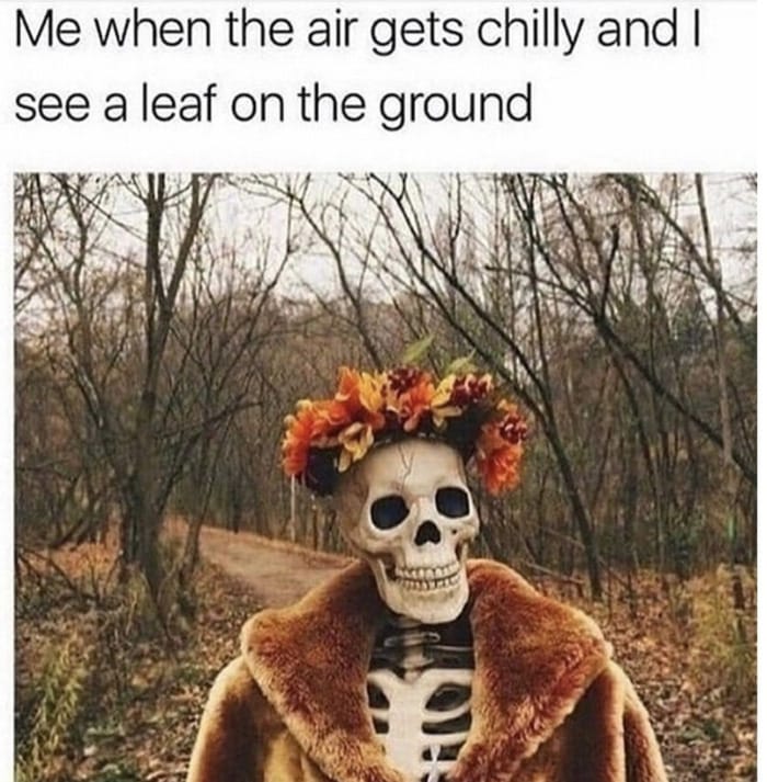 Fall Memes - fall skeleton