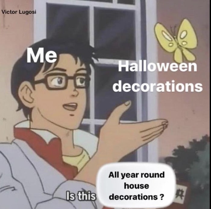 Fall Memes - is this halloween decorations